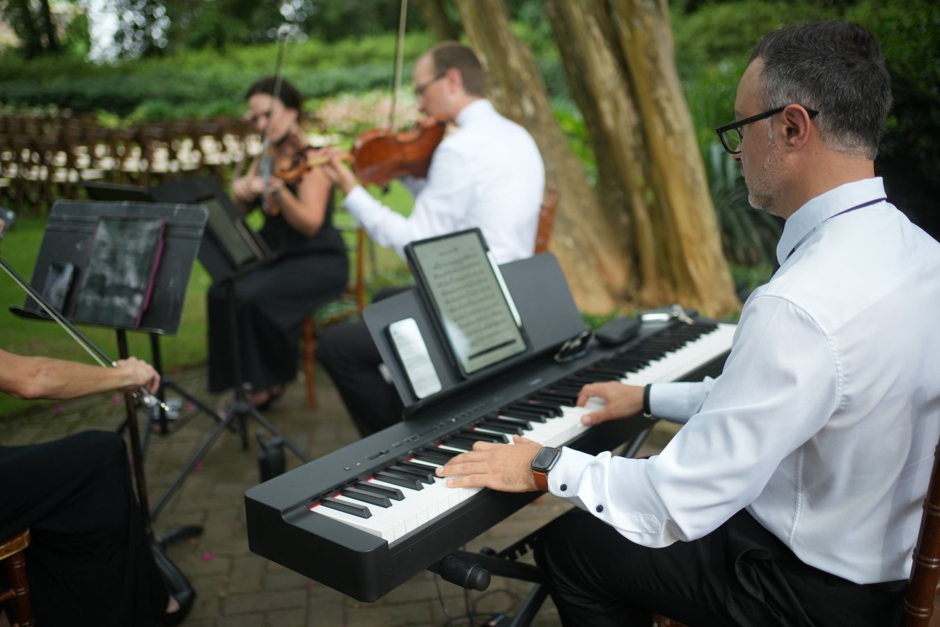 Piano with strings