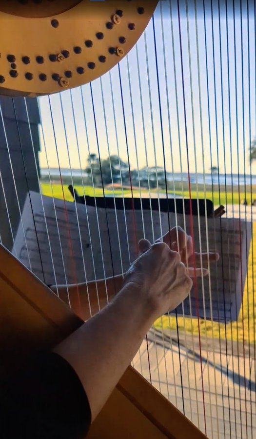 Concert Harp